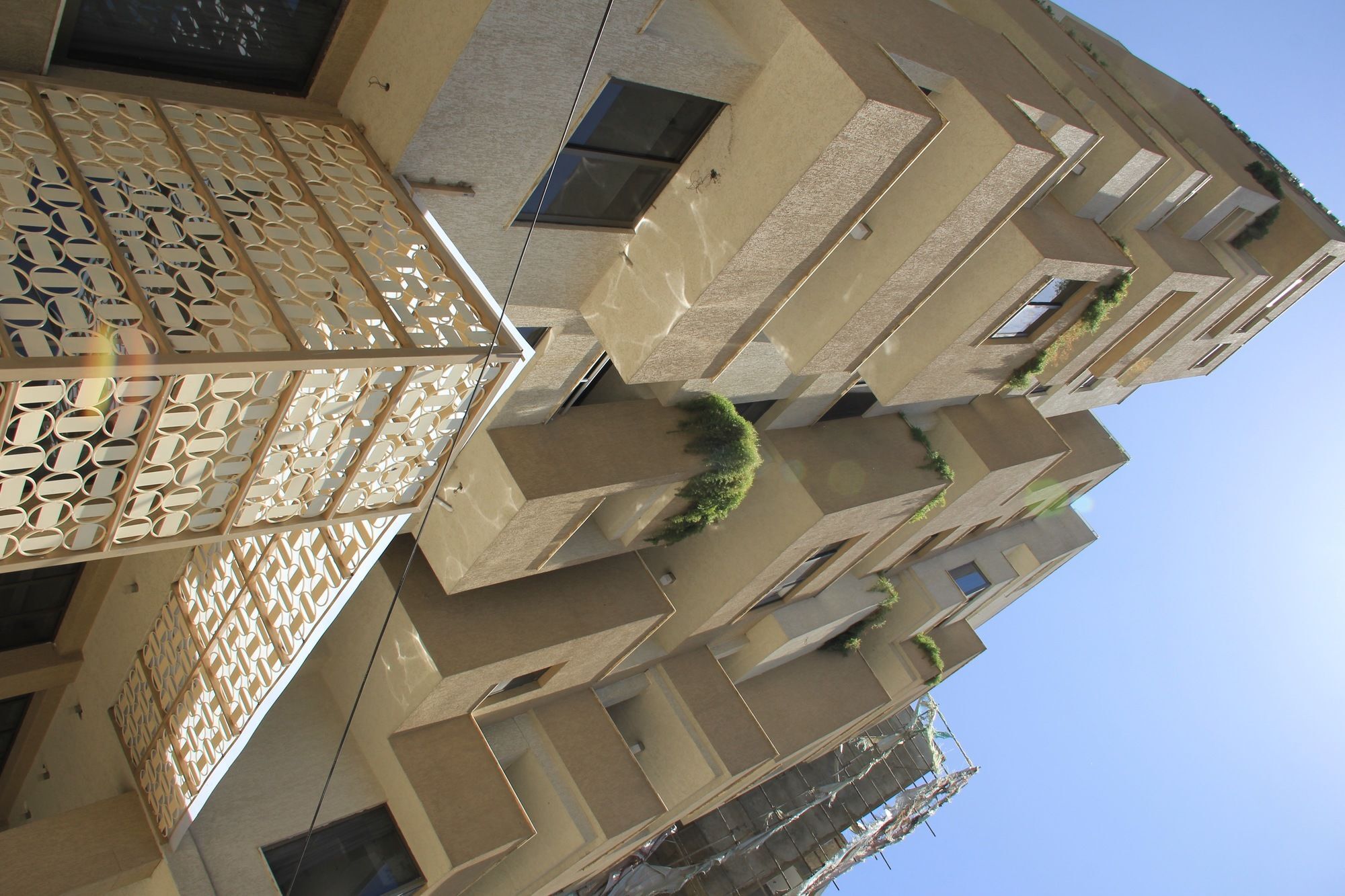 Momona Hotel Addis Abeba Zewnętrze zdjęcie